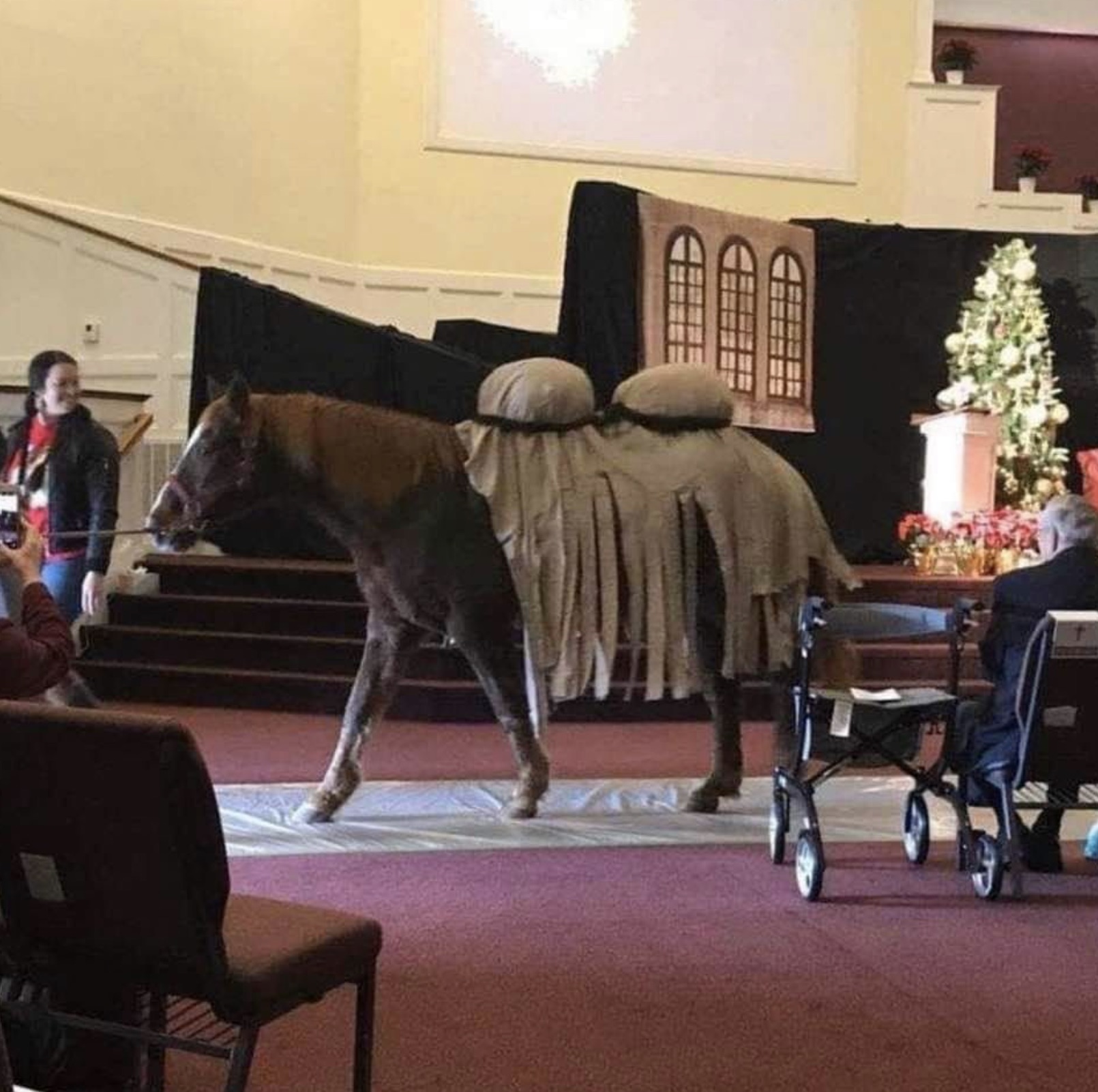 horse christmas memes